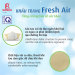 Hình KHẨU TRANG FRESH AIR - Combo 10 cái SIZE NGƯỜI LỚN 2