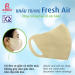 Hình KHẨU TRANG FRESH AIR - Combo 10 cái SIZE NGƯỜI LỚN 3